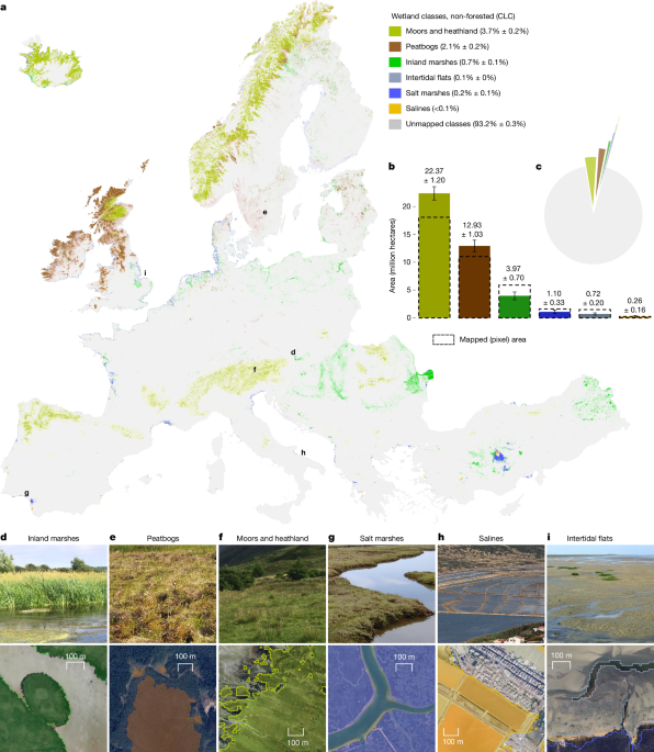 Map showing the distribution of Europe's wetlands.