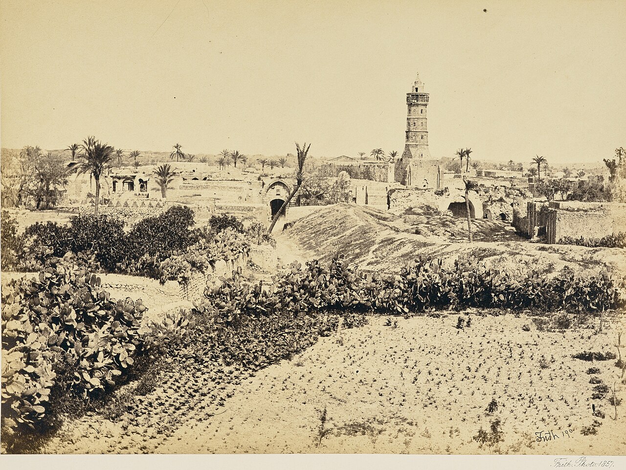 History of Gaza