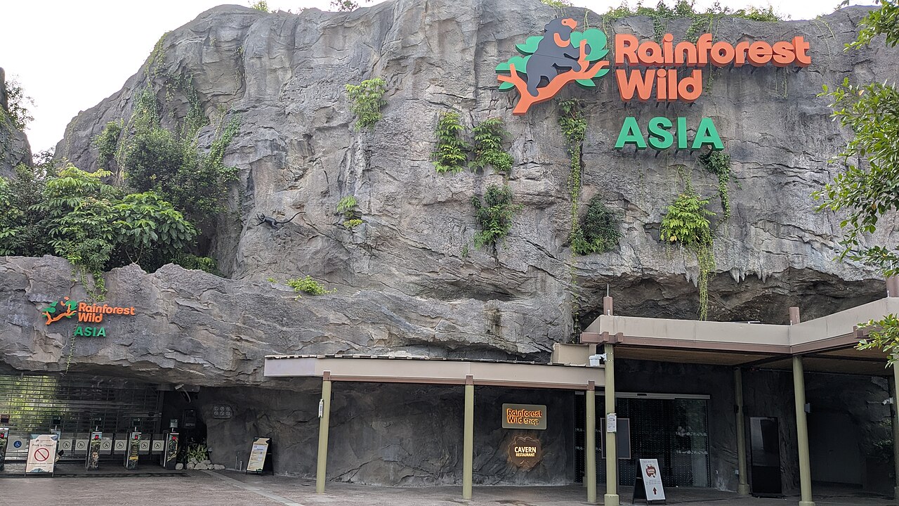 Rainforest Wild