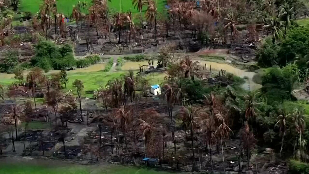 Rohingya genocide